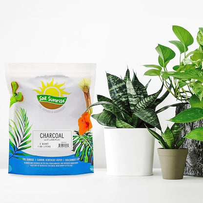 Soil Sunrise Horticultural Charcoal for Indoor Plants (2 Quarts) Hardwood Soil Additive for Orchids, Terrariums, and Gardening