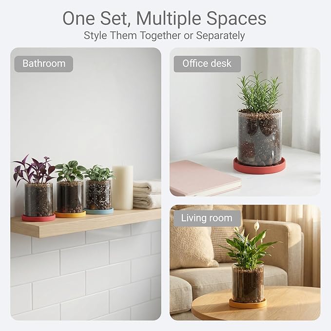 3-Pack 4 Inch Clear Glass Plant Pots with Drainage and Ceramic Trays, Indoor Herb Planters for Home Office, Succulents & Small Plants (Primary 3-Pack)