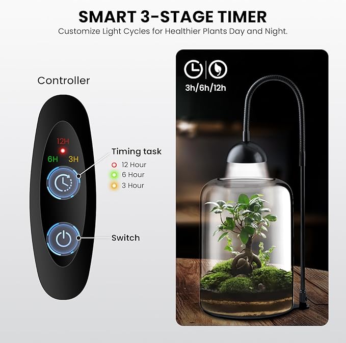 Glass Plant Terrarium with LED Light & Ventilation, Large Terrarium for Venus Fly Trap Live Plant with Ventilation, for Plants Ideal for Succulents, Home Office Desk Decor,8.2" Tall