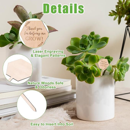 30Pcs Thank You for Helping Me Grow Succulent Tags Wedding Favors, Hexagon Baby Succulents Favors Tags Wooden Plant Labels, Teachers Appreciation Gift Wooden Garden Stakes Thanksgiving Gift Tag