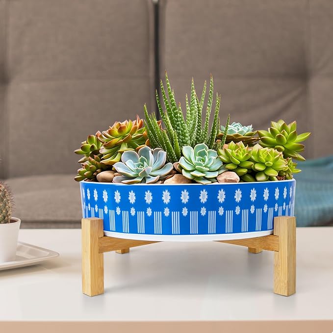 ARTKETTY Succulent Pots - 11 Inch Large Plant Pots Ceramic Bonsai Pots with Drainage Stand, Shallow Succulent Planters for Indoor Plants Decorative Flower Cactus Planter Bowl