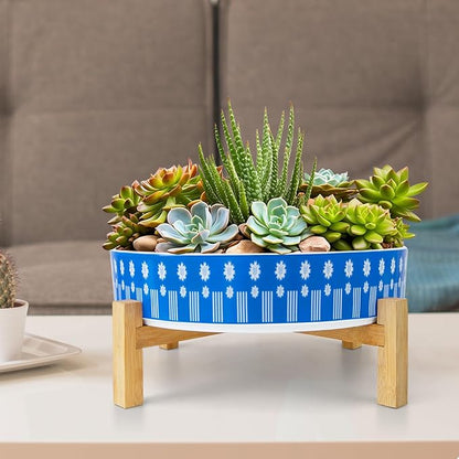 ARTKETTY Succulent Pots - 11 Inch Large Plant Pots Ceramic Bonsai Pots with Drainage Stand, Shallow Succulent Planters for Indoor Plants Decorative Flower Cactus Planter Bowl