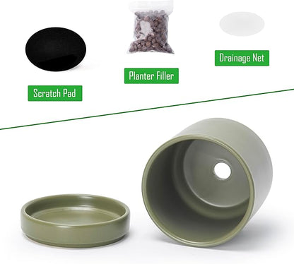 D'vine Dev Set of 2 Plants Pots, 3.5 Inch Ceramic Planter Pot for Plants with Drainage Hole and Saucer, Olive, 94-V-A-J