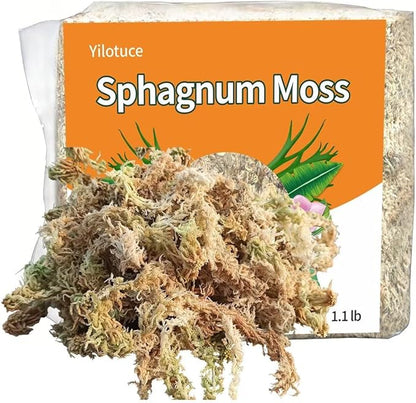 1.1 lb Sphagnum Moss for Plants, Carefully Selected Clean Sphagnum Mos for Rooting Plants