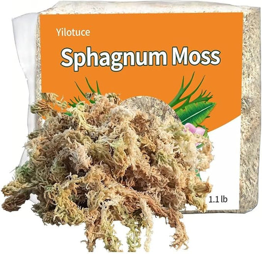 1.1 lb Sphagnum Moss for Plants, Carefully Selected Clean Sphagnum Mos for Rooting Plants