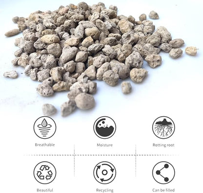 Organic Pumice for Bonsai and Horticultural 100% Natural (1 gallons, 3/8 inch)