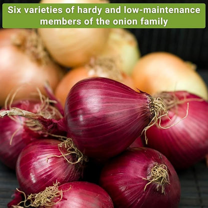 Sow Right Seeds - Onion Family Seed Collection for Planting - 6 Varieties of Chives and Onions - Hardy and Flavorful - Non-GMO Heirloom Packets with Instructions to Plant and Grow a Vegetable Garden