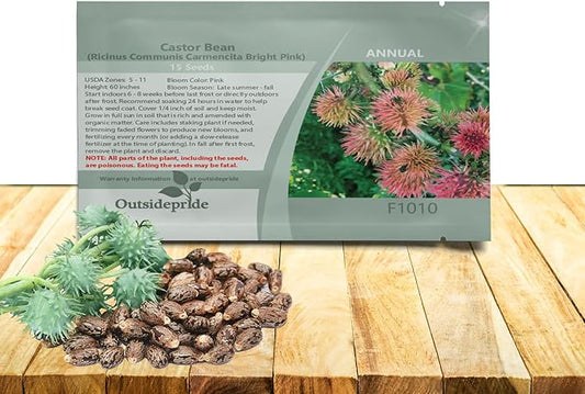Outsidepride Bright Pink Castor Bean Seeds - 15 Pcs Annual Quick-Growing Tropical Flower Seeds for Planting Vibrant Foliage & Colorful Blooms for Eye-Catching Borders, Gardens & Landscapes