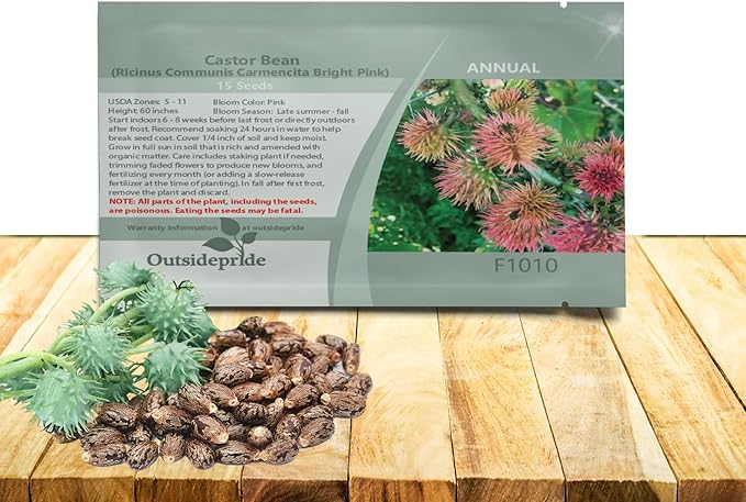 Outsidepride Bright Pink Castor Bean Seeds - 30 Pcs Annual Quick-Growing Tropical Flower Seeds for Planting Vibrant Foliage & Colorful Blooms for Eye-Catching Borders, Gardens & Landscapes