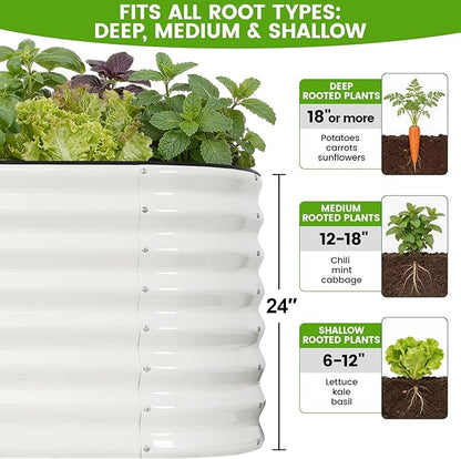 Galvanized Raised Garden Bed Outdoor 24'' Deep | Oval Metal Garden Beds with Easy Assembly & Planter Box for Planting Deep Root Vegetables Fruits Flowers, 6x2x2ft White