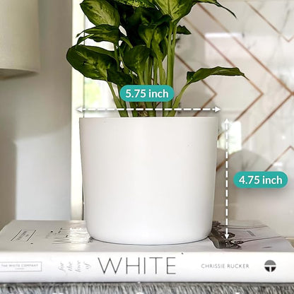 Willowy 6 Inch Ceramic Plant Pot (Matte White) - 6 Inch White Ceramic Planter, Pots for Plants, Planters for Indoor Plants, Plant Pot with Drainage
