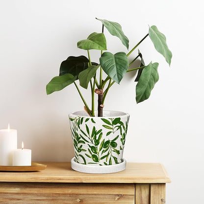 Oairse Small Ceramic Pot for Indoor Plants - 5.5 inch Plant Pot with Drainage Hole and Saucer Olive Leaves Decorative Planter Indoor Outdoor Flower Pots for Succulent Snake Pothos Plant Cactus Orchid
