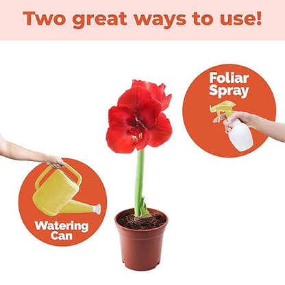 Amaryllis Fertilizer for Amaryllis Bulbs, Great for Amaryllis Bulbs in Vase or for Planting, Liquid Fertilizer by TPS Plant Foods, 8 oz (250mL)