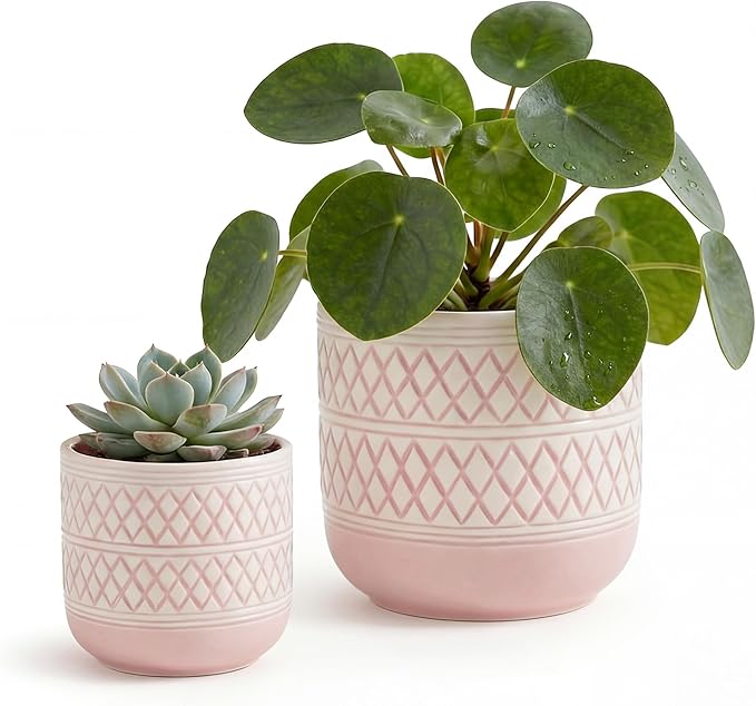 Decorative Ceramic Flower Pots Set of 2 – 6 & 4.7 Inch Indoor Plant Pots, Boho Decorative Pots for Plants, Orchid & Succulent Planters with Drainage