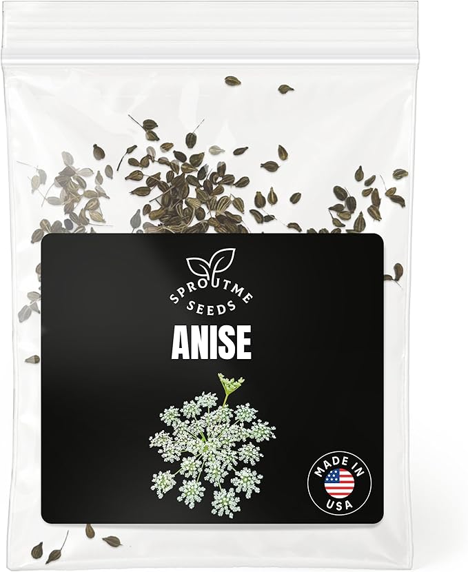 Anise Seeds for Planting – 200+ Non-GMO Heirloom Aromatic Herb Seeds for Tea, Baking & Cooking (Pimpinella anisum)
