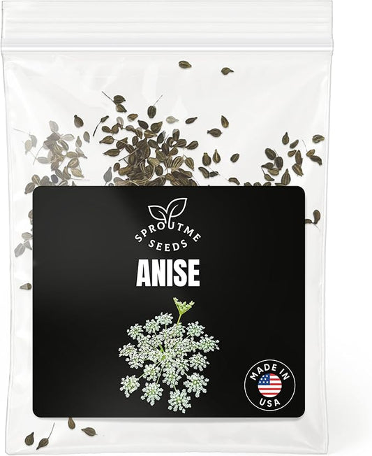 Anise Seeds for Planting – 200+ Non-GMO Heirloom Aromatic Herb Seeds for Tea, Baking & Cooking (Pimpinella anisum)