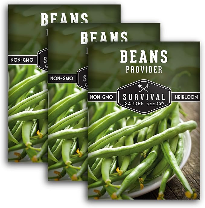 Provider Bush Bean Seeds for Planting - 3 Packs with Instructions to Plant and Grow Stringless Green Beans in Your Home Vegetable Garden - Non-GMO Heirloom Variety - Survival Garden Seeds (3 Packs)