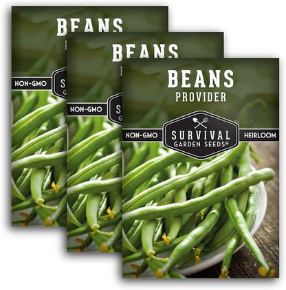 Provider Bush Bean Seeds for Planting - 3 Packs with Instructions to Plant and Grow Stringless Green Beans in Your Home Vegetable Garden - Non-GMO Heirloom Variety - Survival Garden Seeds (3 Packs)
