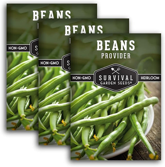 Provider Bush Bean Seeds for Planting - 3 Packs with Instructions to Plant and Grow Stringless Green Beans in Your Home Vegetable Garden - Non-GMO Heirloom Variety - Survival Garden Seeds (3 Packs)