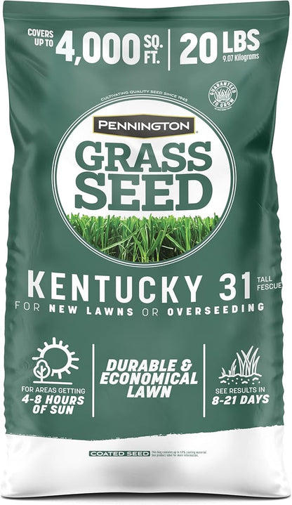 Pennington Kentucky 31 Tall Fescue Grass Seed 20 lb