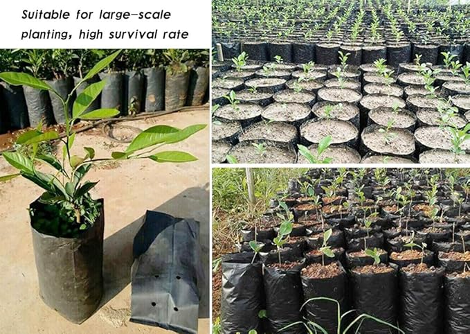 100 PCS Thicken Plastic Nursery Bags for Plants Fruit Flower Grow Bags Seedling Pots (7.87x11.81 in)