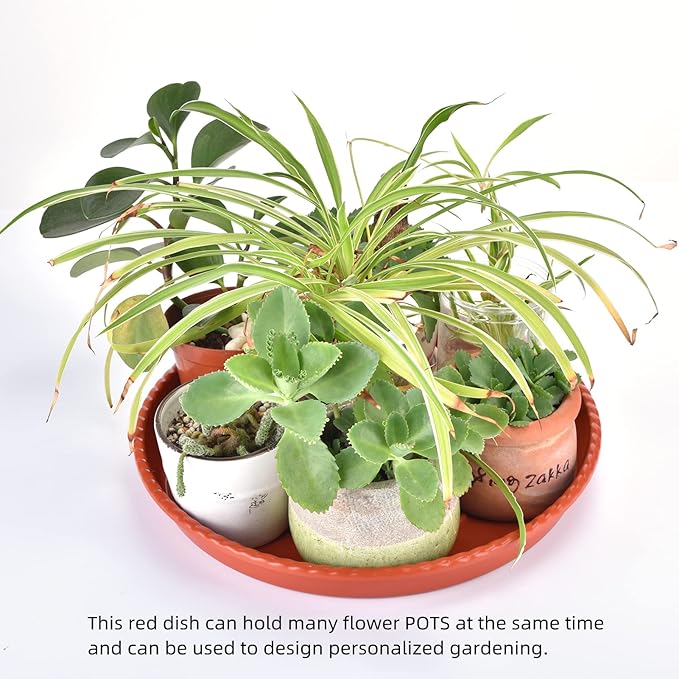 14 Inches Red Brown Plant Saucers for Outdoors Pots, 5 Gallon Grow Bag Saucer 12.5 inches in Base, 6 Packs Sturdy Round Plastic Plant Trays for Indoors.