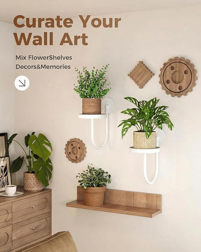 Leaf&lull Wall Plant Holder Planter with Wall Planters for Indoor Plants Plant Hanger Hanging Plant Holder Wall Hanging Decor 2 Pack White