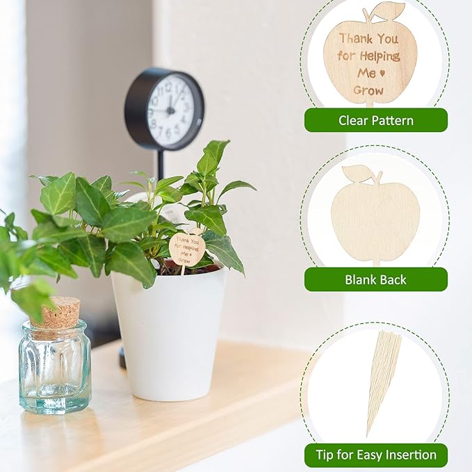 Yulejo 12 Pieces Thank You for Helping Me Grow Succulent Tags Graduation Appreciation Gifts Plant Stakes Labels Garden Wooden Sign Stakes for Baby Shower