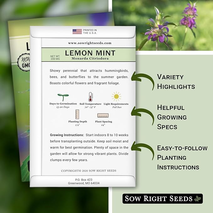 Sow Right Seeds - Lemon Mint Seed for Planting - Non-GMO Heirloom with Packet with Instructions to Plant and Grow an Herbal Tea Garden - Indoors or Outdoor - Monarda to Attract Pollinators (2)