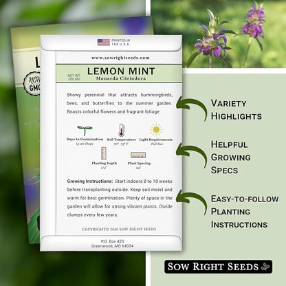 Sow Right Seeds - Lemon Mint Seed for Planting - Non-GMO Heirloom with Packet with Instructions to Plant and Grow an Herbal Tea Garden - Indoors or Outdoor - Monarda to Attract Pollinators (1)