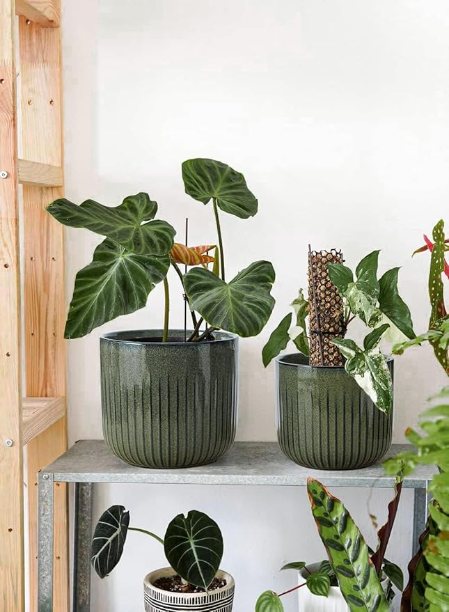 LE TAUCI Fluted Ceramic Pots for Plants, 8.3/7/6 Inch Indoor Planters with Drainage Holes & Mesh, Modern Glossy Glaze Cylinder Plant Pot for Snake Plant, Set of 3, Dark Olive