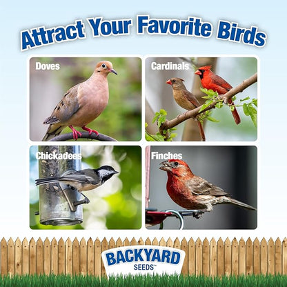 CountryMax Backyard Seeds Fruit Frenzy No-Waste Bird Seed Mix 5lbs - Premium Blend with Pumpkin Seeds, Cranberries & Pistachios, Small Bag of Wild Bird Food