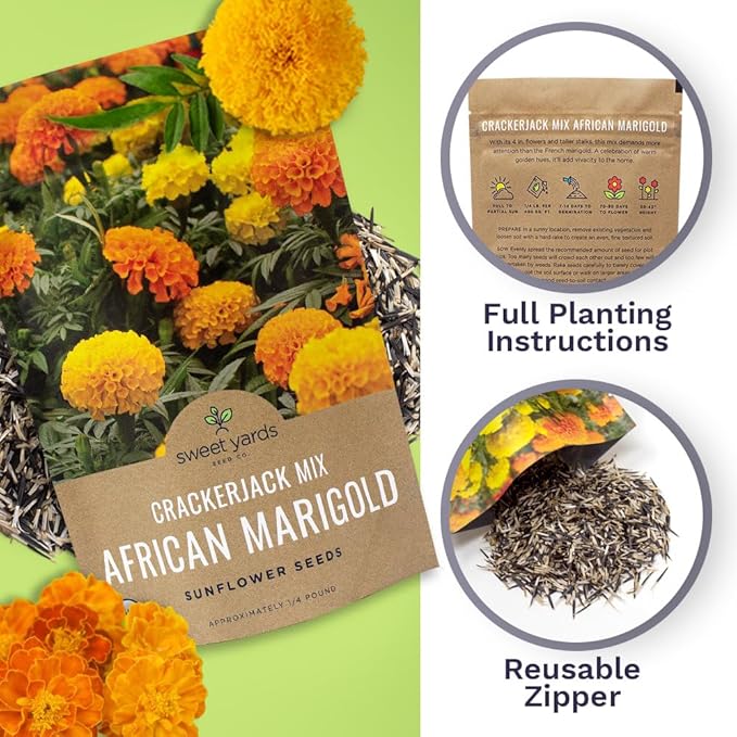 African Marigold Seeds Crackerjack Mix - Bulk 1/4 Pound Bag - Over 40,000 Seeds - Huge Orange and Yellow Blooms