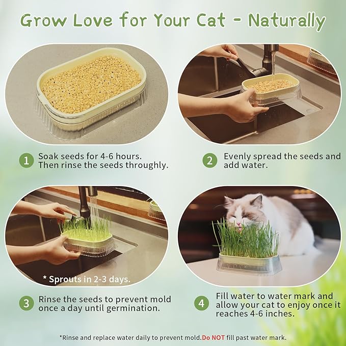 Cat Grass for Indoor Cats with 5Pack Non GMO Seeds, Organic Grass Growing Kit, Soil-Free Planter, Perfect for Beginners, Ideal Birthday Gift for Cat Lovers