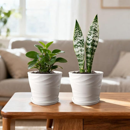6 Inch Plant Pot,Ceramic Planter with Drainage and Saucer,Ceramic Pots for Plants,Planters for Indoor Plants,Ceramic Flower Pots(6.7 in Diameter)