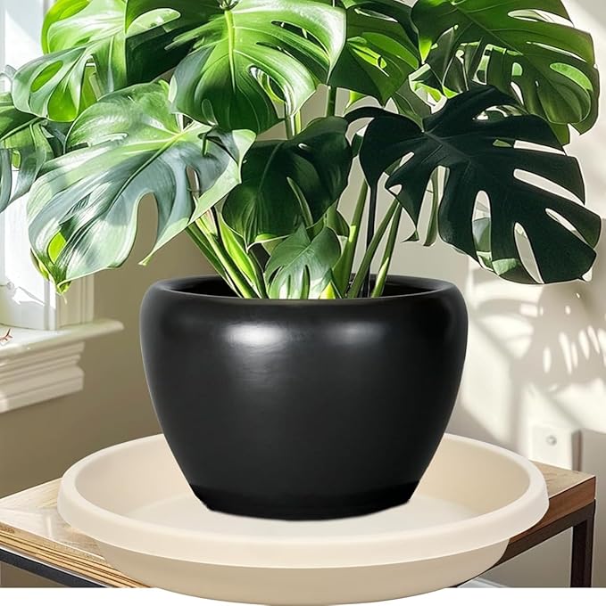 Plant Saucer 12 Inch 2 Pack Heavy Duty Plant Saucers Plastic Reusable Drip Trays for Flower Pots