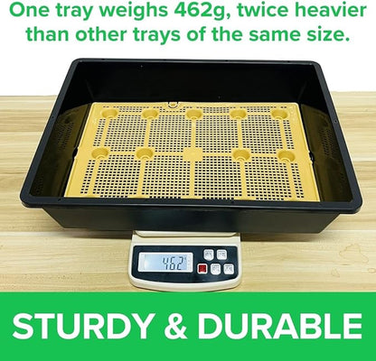 BeGrit Seed Starter Trays Durable Plant Trays 13x17inch Mesh Seedling Trays Perfect for Indoor, Outdoor, Greenhouses 5 Pack