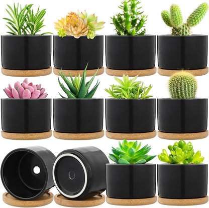 Cindeer 12 Sets Succulent Plant Pot Ceramic Succulent Pots Container Cactus Pots with Bamboo Tray Small Cylinder Flower Plant Pot with Bamboo Saucers for Plants Indoor Outdoor (Black,3 x 2.17 Inch)