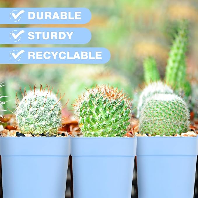 Amyhill 4 Inch Flower Pots Square Plants Nursery Pot Plastic Plant Seedling Pots Nursery Transplanting Planter Container with Saucer for Indoor Herbs Succulent Balcony Garden(Blue,100 Pcs)