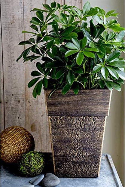 The HC Companies 22 Inch Avino Tall Square Planter - Decorative Indoor Outdoor Plant Pot for Front Porch, Deck, Patio and Home, Celtic Bronze