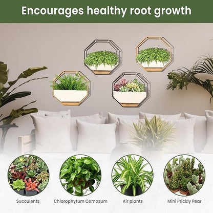 IRYL Wall Planter for Indoor Plants - Ceramic Wall Hanging Planter Set with Bamboo Tray & Hooks - Decorative Wall Plant Holder - Modern Wall Planters for Vertical Garden Home Decor - Black