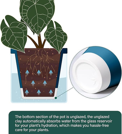 D'vine Dev 6 Inch Design Self Watering Planter for Indoor Plants, Blue Terracotta Pot with Cylinder Glass Cup, Set of 2, 37-Y-B-4