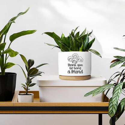 Friendship Ceramic Planter Pot with Drainage Holes and Bamboo Tray Thank You for Being a Friend Succulent Cactus Planter Ideal Gift for Friends Home Decor Indoor Planting Pots (Plant Not Included)