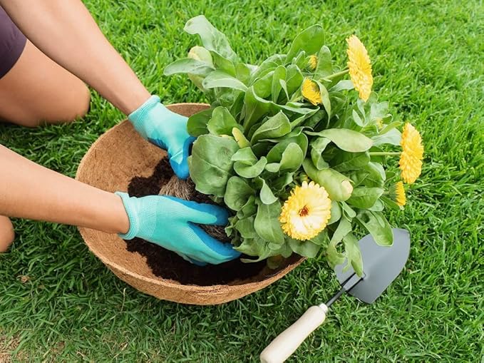 Envelor Coco Liners for Planters Hanging Basket Liners Replacement Coconut Liners for Planters Basket Liners Wire Baskets Round Window Box Liners Natural Coco Coir Fiber Plant Liner, 14 Inches, 4 Pack