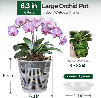 T4U Orchid Pot, 6 Pack 6.3 Inch Orchid Pots with Holes and Saucers, Clear Orchid Pots for Repotting, Plastic Flower Plant Pot for Indoor Outdoor Plants, Slotted Orchids Planter for Root Health