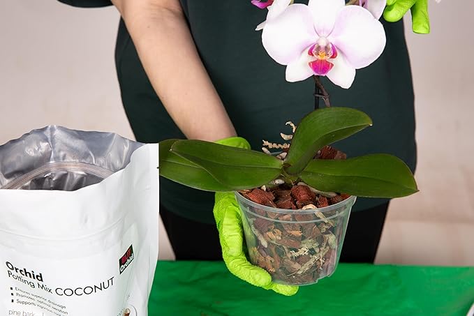 SMEREKA Orchid Potting Mix (2QT) – Coconut Husk, Pine Bark, Moss & Charcoal Blend for Phalaenopsis – Resealable Bag, Premium Handcrafted Orchid Mix