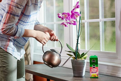 Miracle-Gro Water Soluble Orchid Food, Plant Fertilizer, 8 oz. (12-Pack)