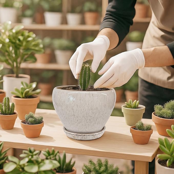 Deep Dream 6 Inch Plant Pots- Ceramic Planter Pot with Drainage Hole and Saucer, Round Flower Pot for Indoor Outdoor Succulent, Snake Plants and Cactus, Beige