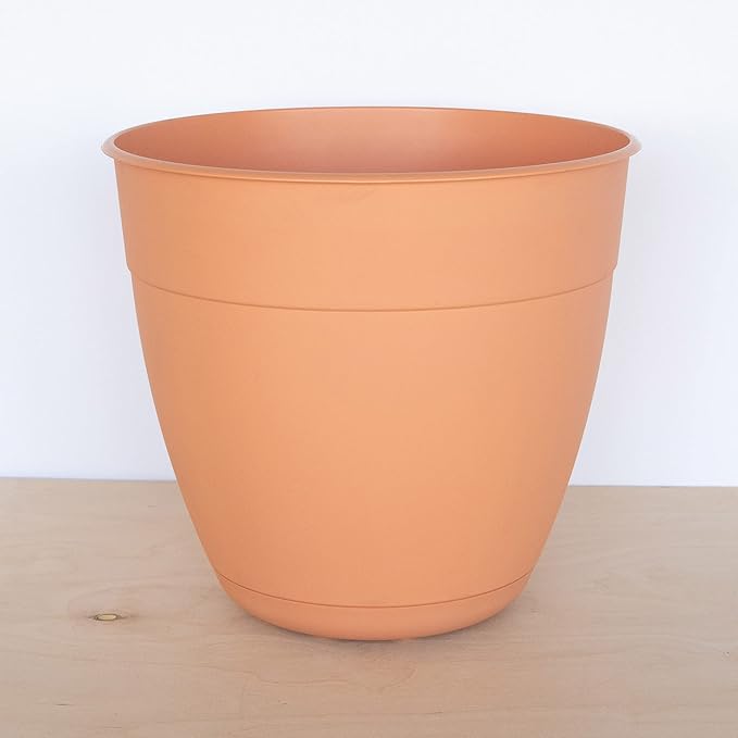 Bloem Dayton Planter with Saucer: 12" - Coral - 100% Recycled Plastic Pot, Removable Saucer, Elevated Feet, for Indoor and Outdoor Use, Gardening, 3 Gallon Capacity