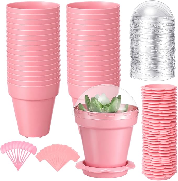 36 Packs Cupcake Plant Nursery Pots with Humidity Dome Small Flower Pots Plastic Planting Containers Cups with Saucers and Shovel for Indoor Outdoor Plant Succulent Display (Pink)